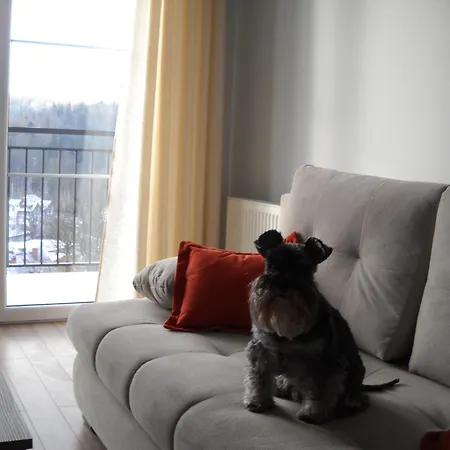 Amika * Sklářská Poruba